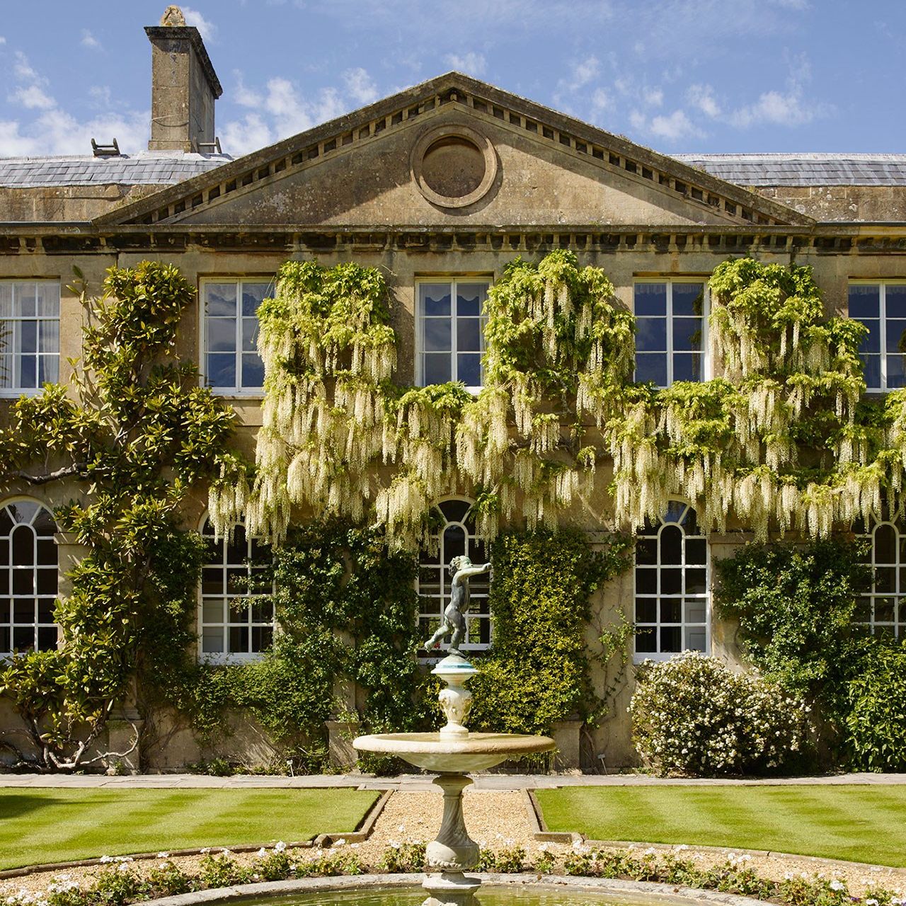 Leafy plants to help cool your house (yes, it really works)