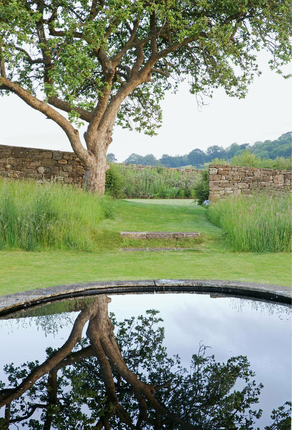 Image may contain Plant Tree Grass Outdoors Tree Trunk Water Wood and Nature