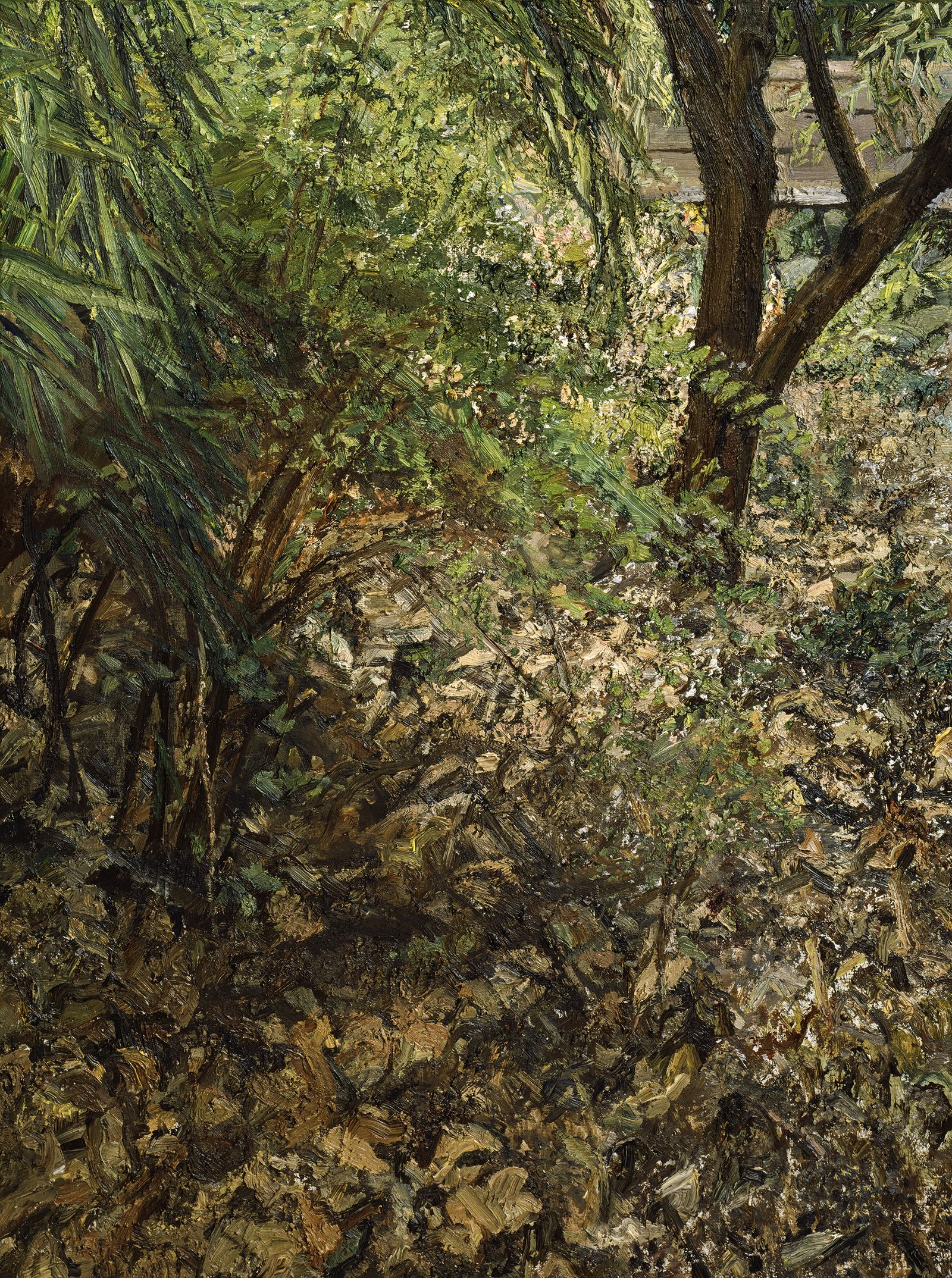 Image may contain Tree Plant and Tree Trunk