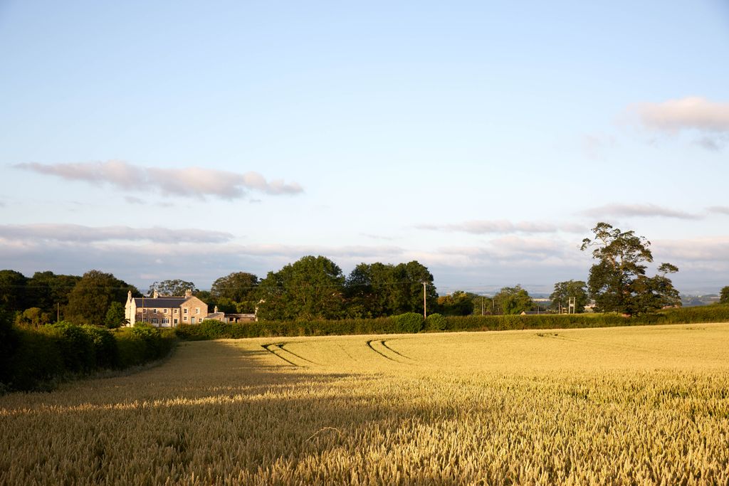 Image may contain Field Outdoors Nature Countryside and Plant