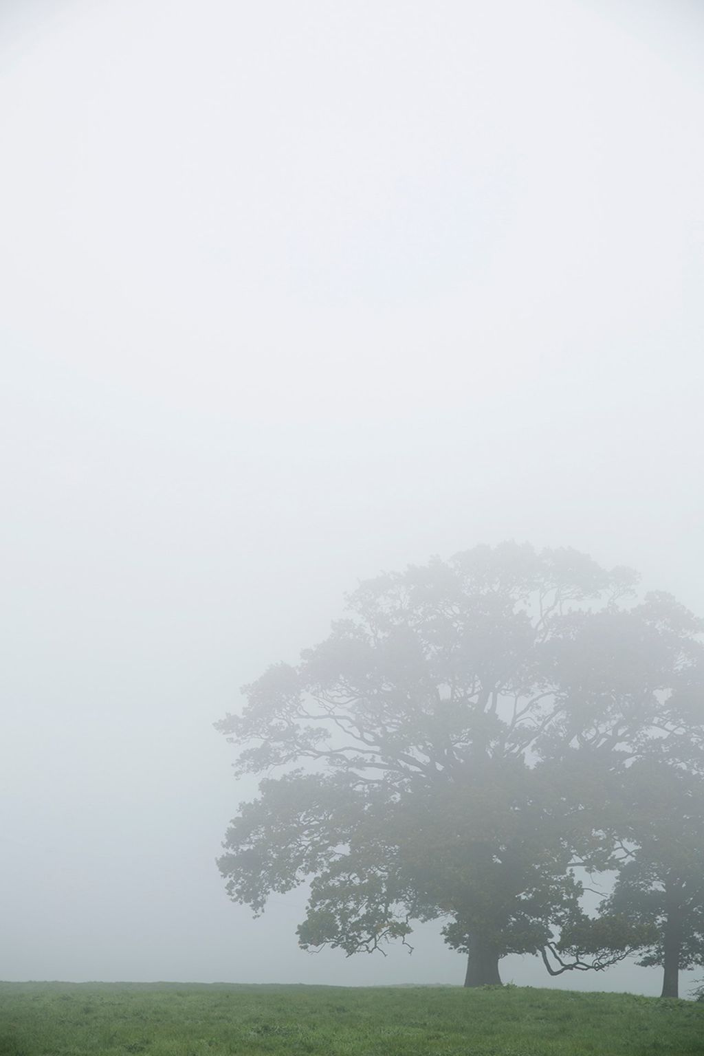 Grounds  Somerset Country House | Real Homes