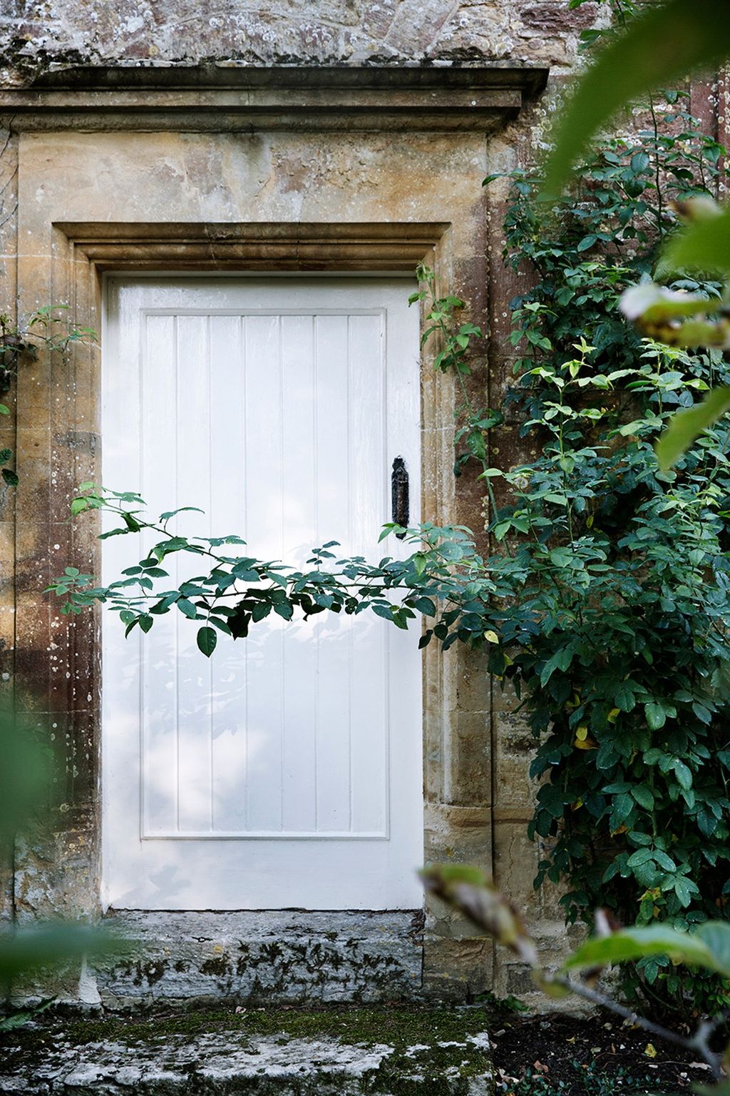 Door with crisp white paintwork leading to the exterior of the house.  Like this Then you'll love  Door Dressing