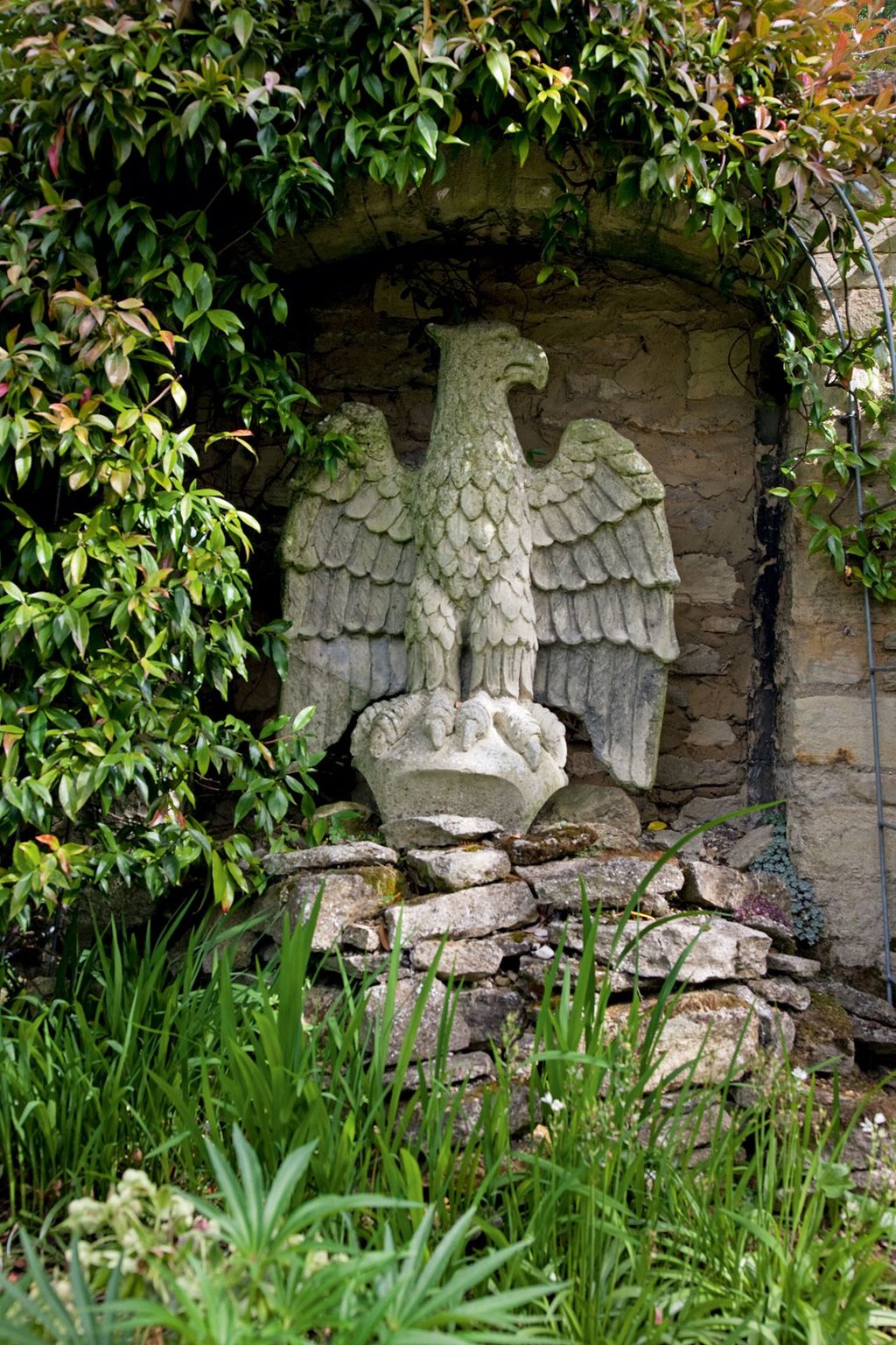 Image may contain Plant and Wall