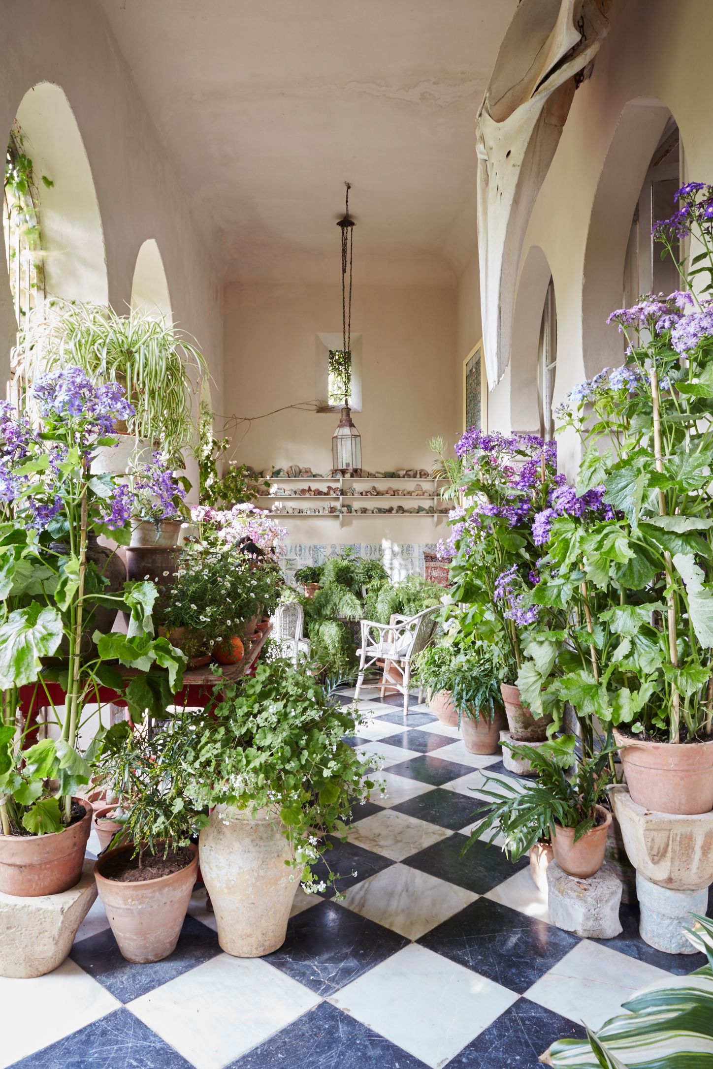 Umberto Pasti's Tangier garden