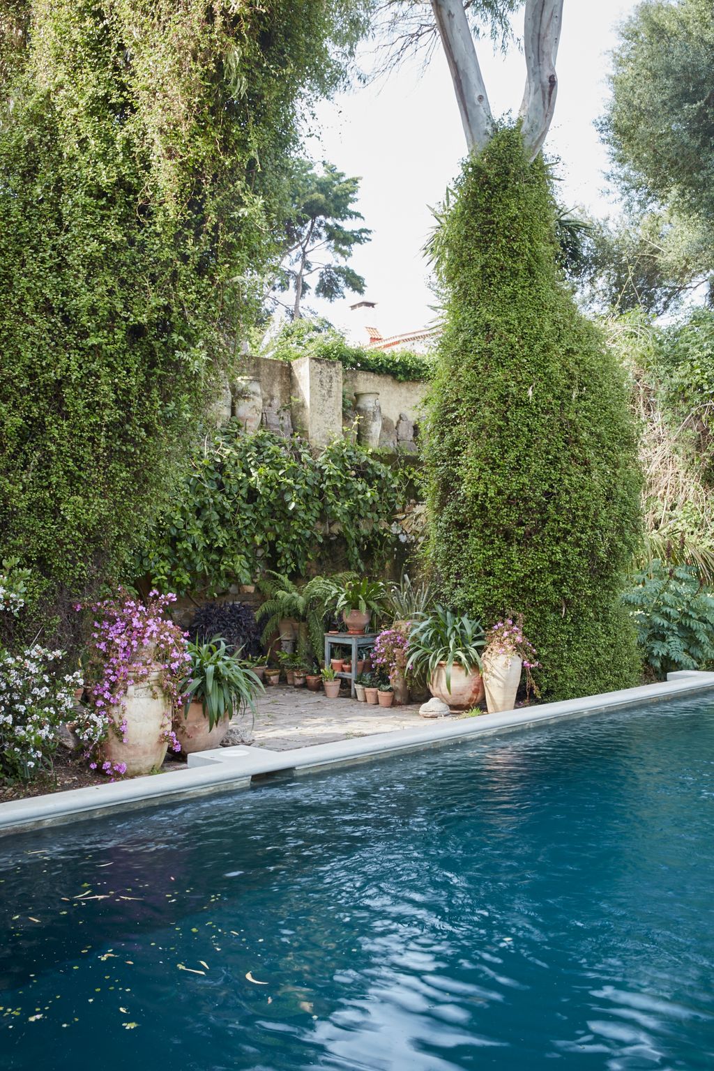 Image may contain Garden Outdoors Arbour Building Water Villa House Housing and Hotel