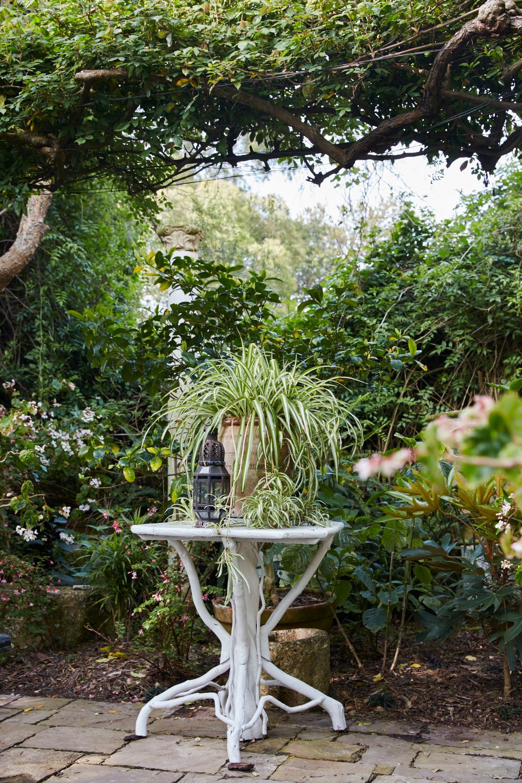 Image may contain Outdoors Garden Arbour Plant and Nature