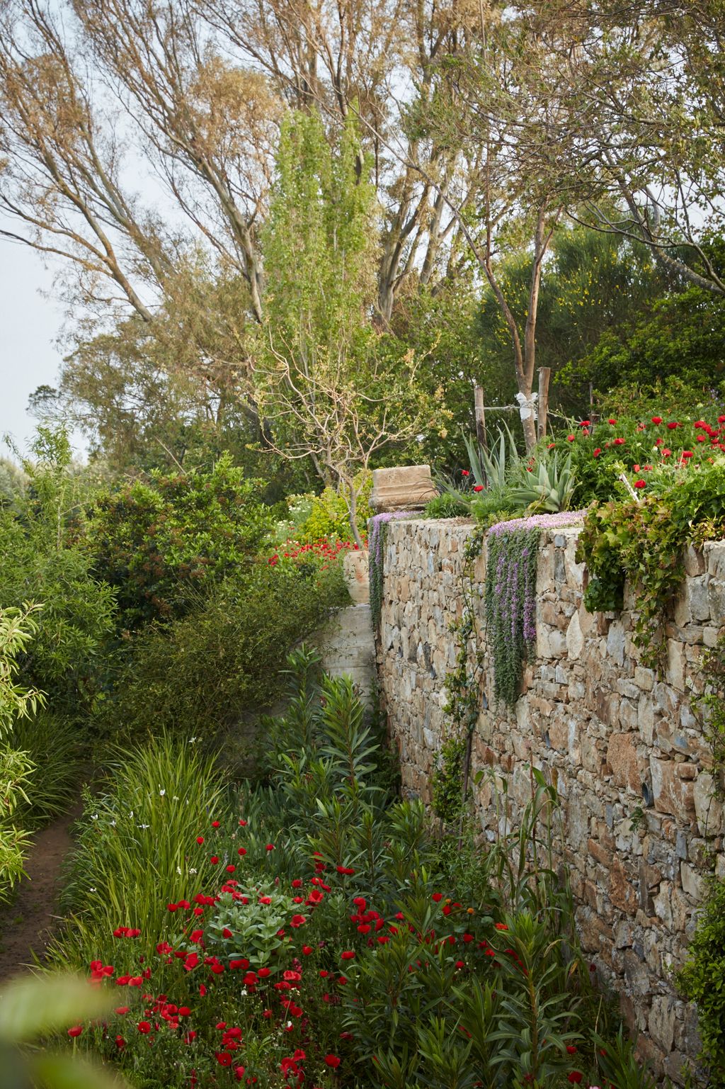 Image may contain Plant Outdoors Garden Path Walkway Flagstone Wall Tree Slate and Arbour