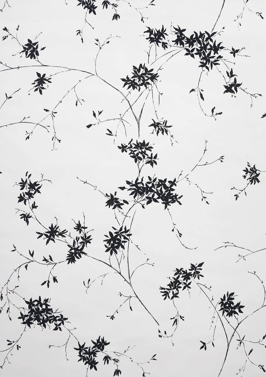 Image may contain Plant Flower Blossom and Texture