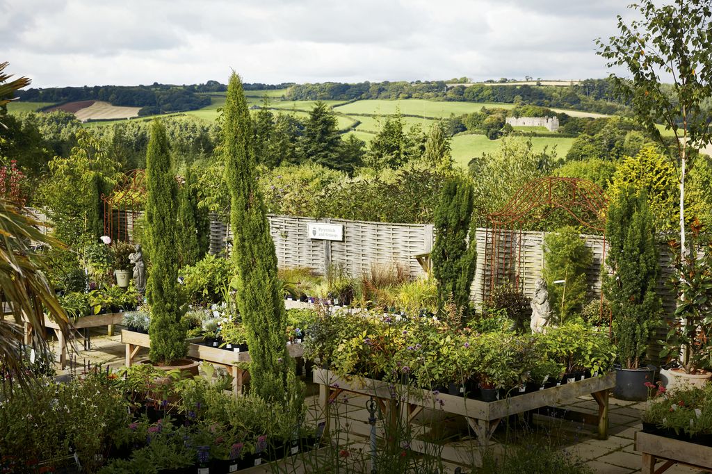 Image may contain Outdoors Plant Garden Tree Fir Abies Nature and Arbour