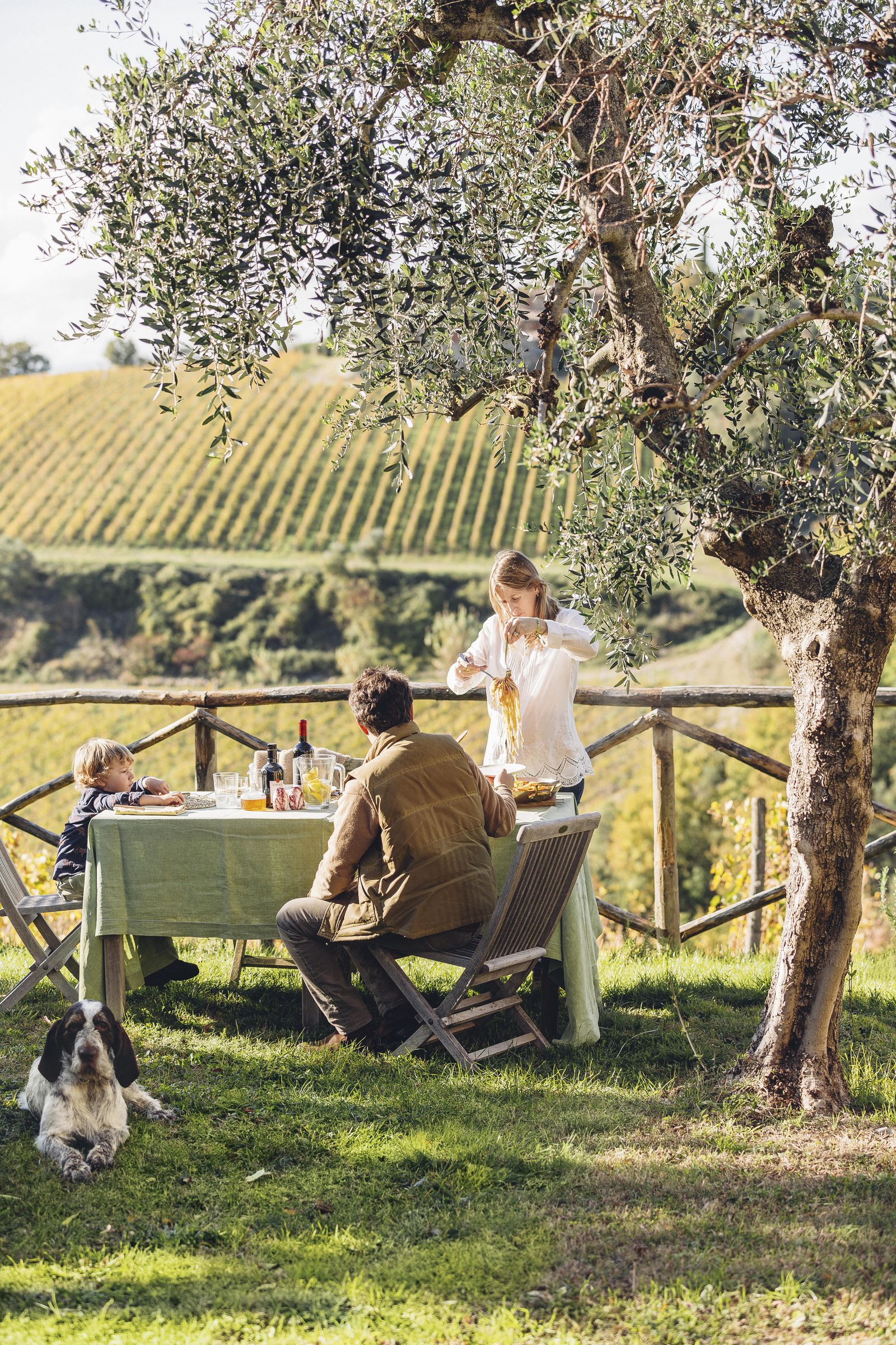 Image may contain Human Person Food Meal Vacation Plant Grass Animal Pet Canine Dog and Mammal