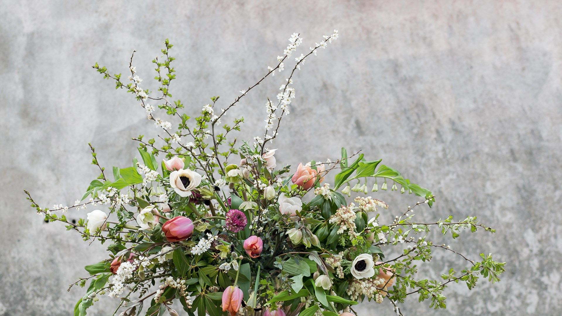 The spring bulbs to grow for the start of the cutting season