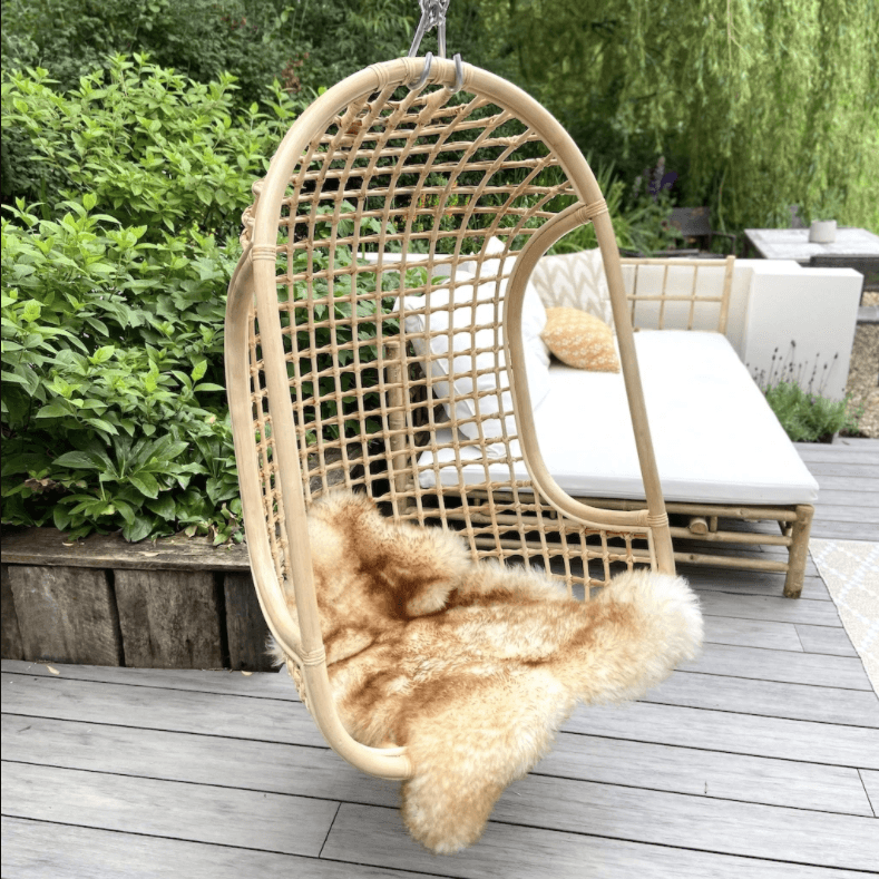 Image may contain Furniture Chair Porch Animal Mammal Pet Cat and Outdoors