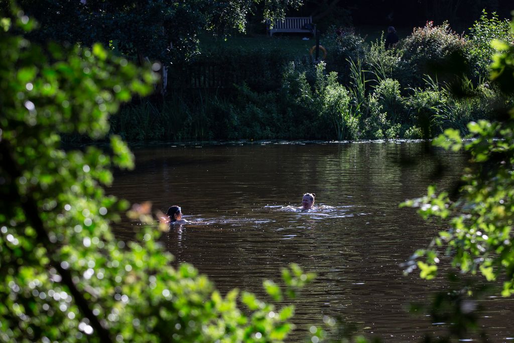 The swimming ponds on Hampstead Heath have reopened for visitors to enjoy scenic and refreshing swims during the hot...