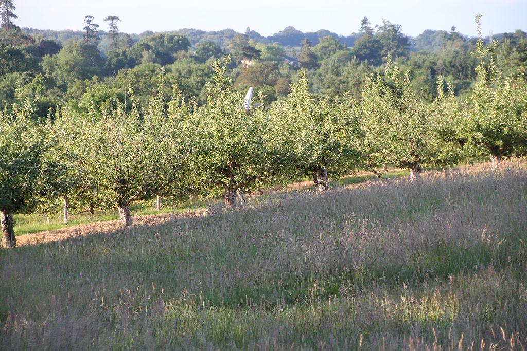 This idyllic farm in Buxted has reopened its farm shop and cafe offering nothing but the best local produce. For us the...