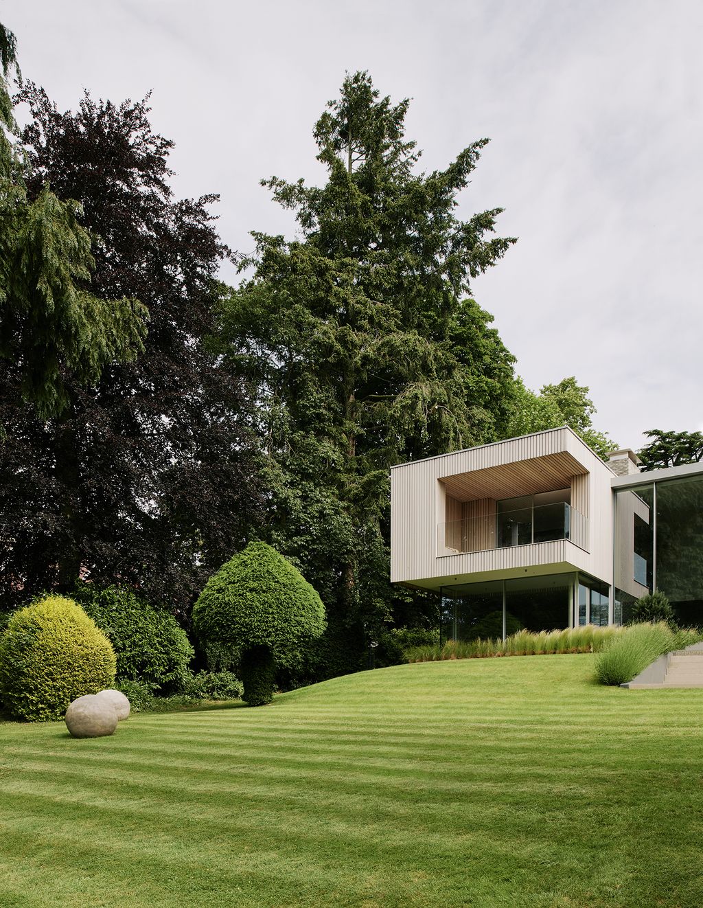 Image may contain Plant Grass Lawn Tree Park and Outdoors