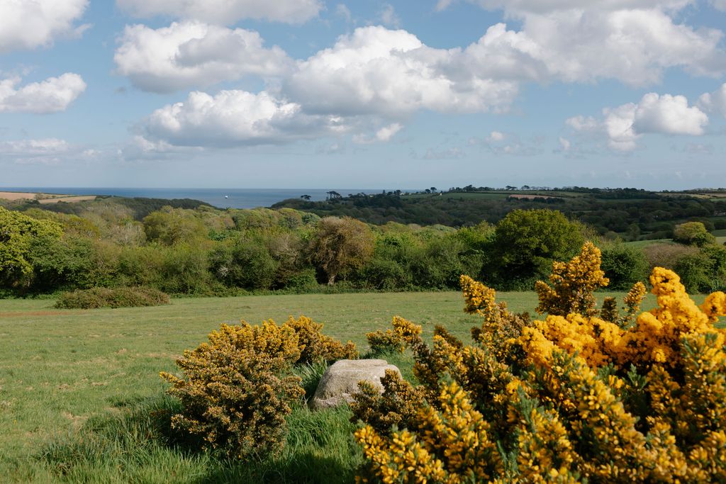 Image may contain Nature Outdoors Grassland Field Countryside Rural Farm Meadow Weather Plant Sky and Cumulus