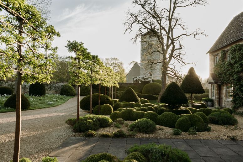 Image may contain: Plant, Grass, Outdoors, Tree, Hedge, Fence, and Garden