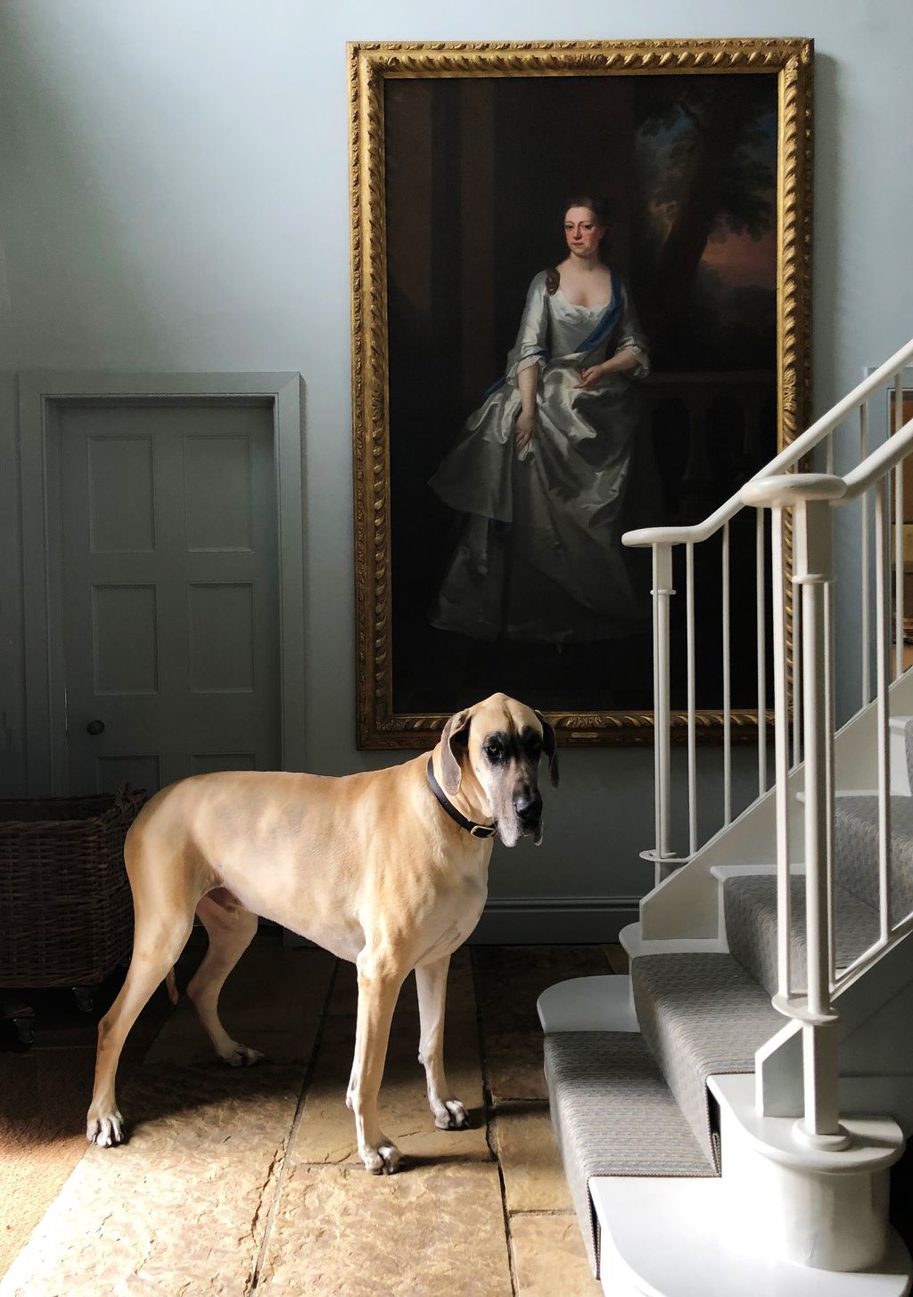 Image may contain Banister Handrail Animal Dog Mammal Pet Canine Human Person Staircase and Anne of Austria