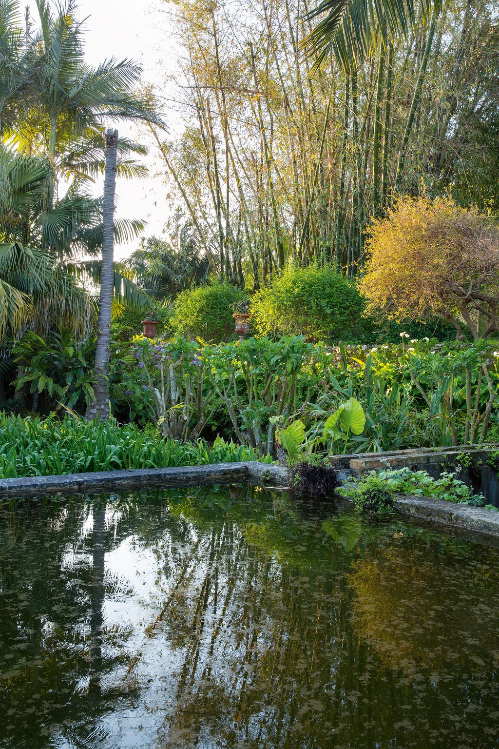 A larger water tank in the giardinetto.