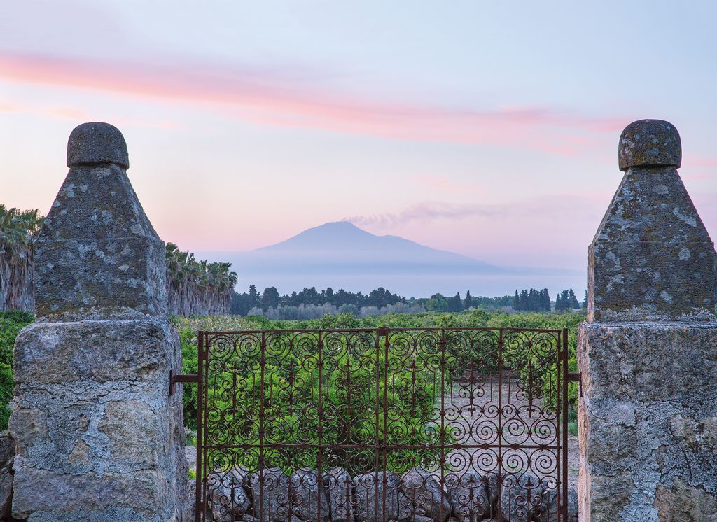 Image may contain Gate