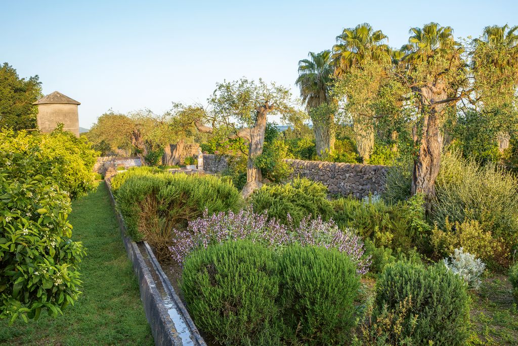 A stone irrigation channel runs along the edge of a swathe of heatloving aromatic plants in the giardinetto.