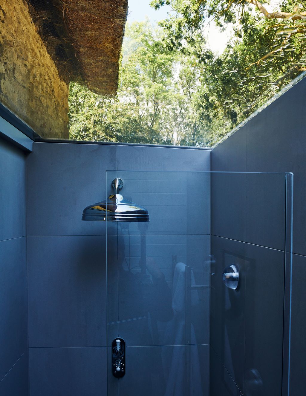 Image may contain Indoors Room Bathroom and Shower