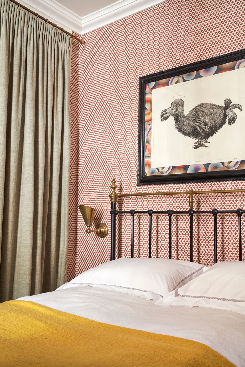 Image may contain Animal Fowl Bird Poultry Chicken Furniture and Bed