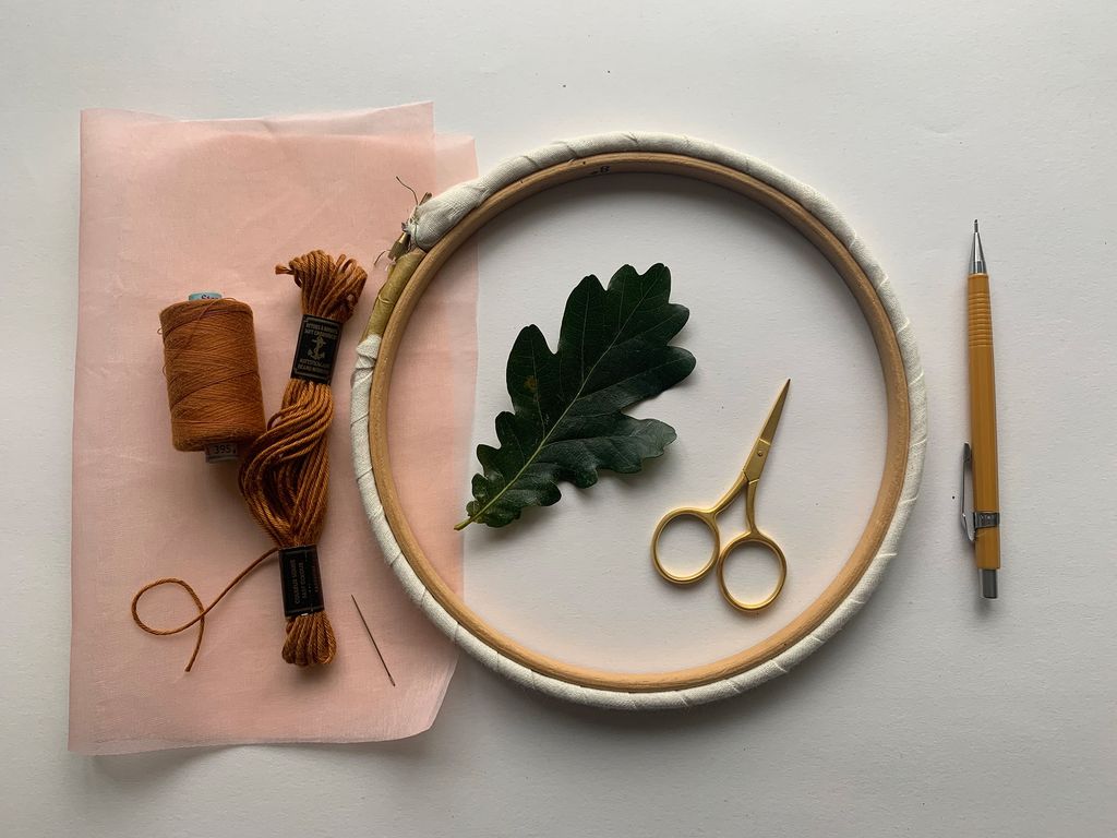 Image may contain Plant