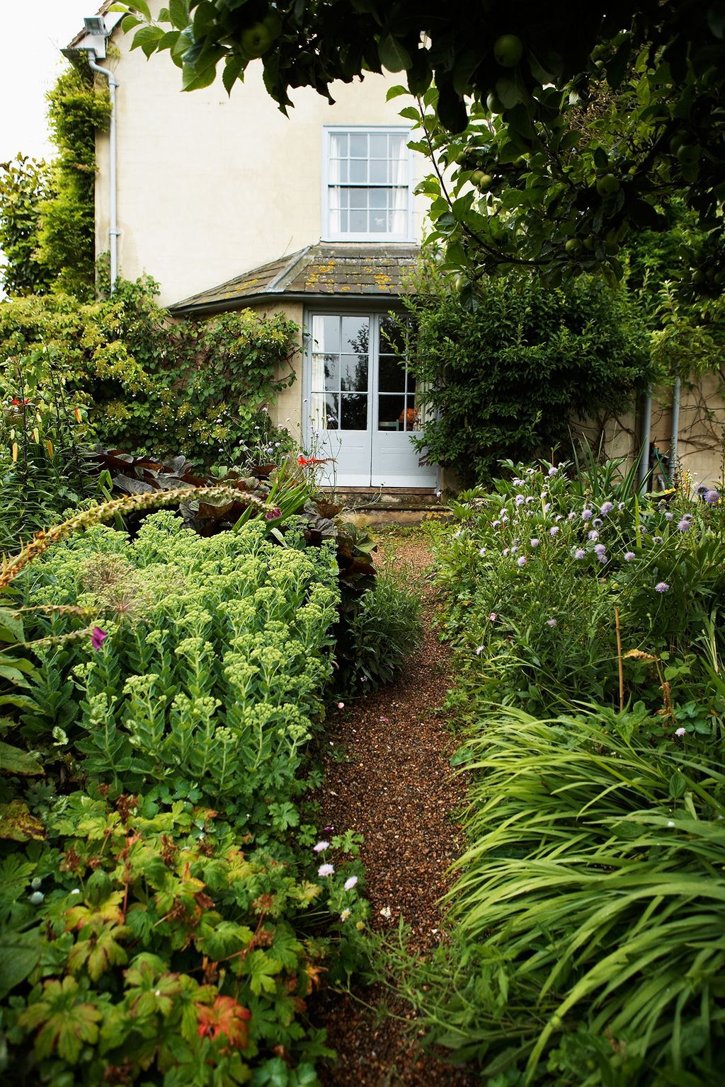 Image may contain Vase Plant Pottery Potted Plant Jar Outdoors Planter Herbs Garden Arbour House and Cottage