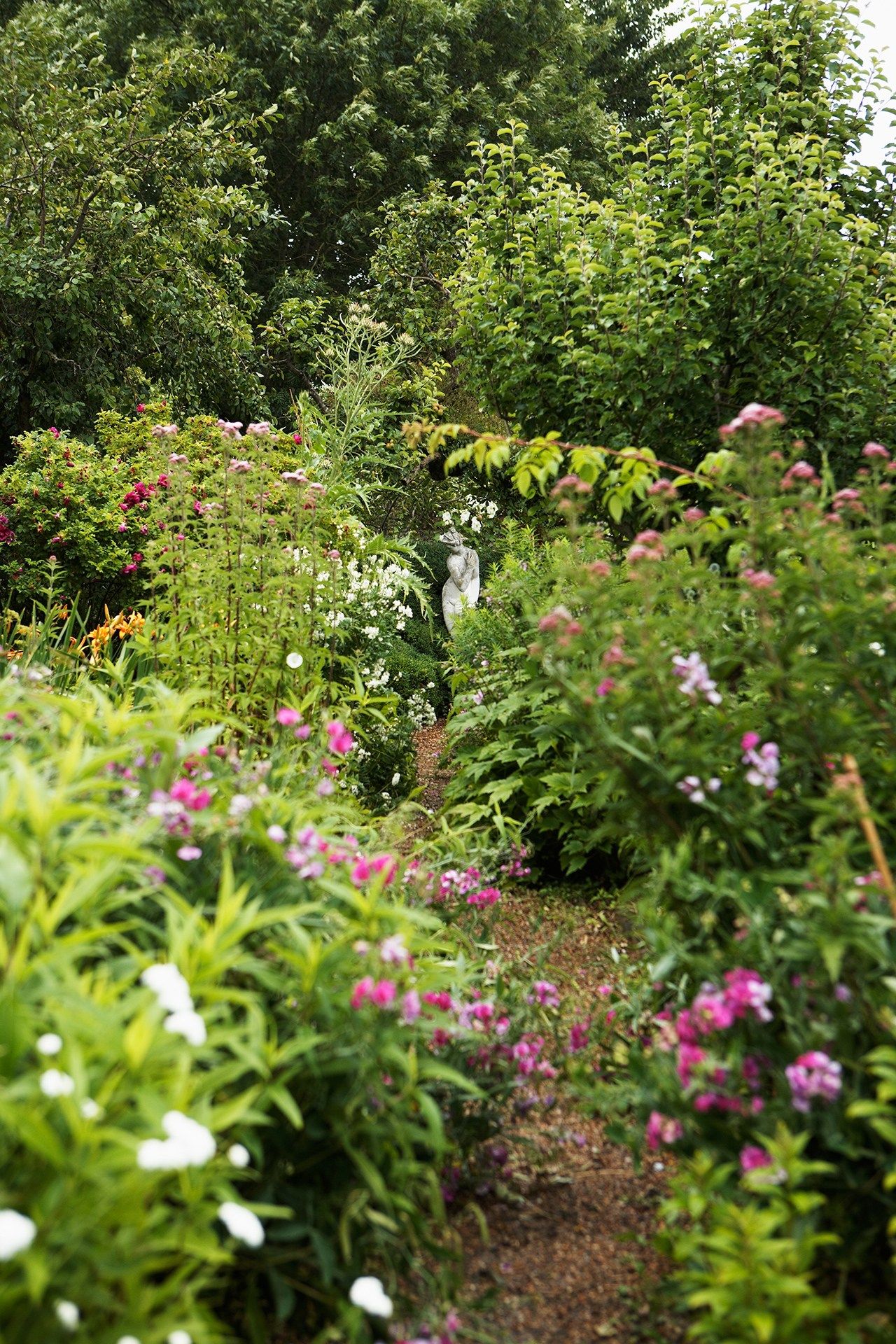 Image may contain Outdoors Garden Flower Plant Geranium Blossom and Arbour