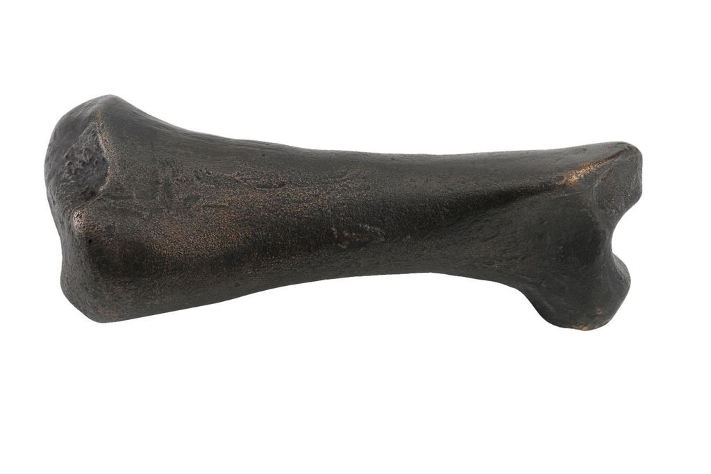 Bronze Bone | Door  Handle Ideas