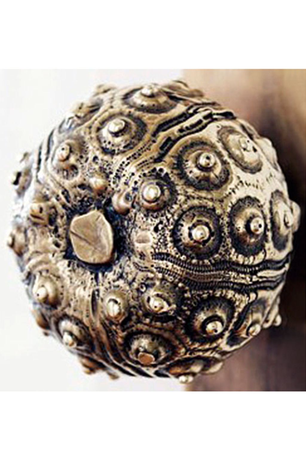 Sea Urchin | Door  Handle Ideas