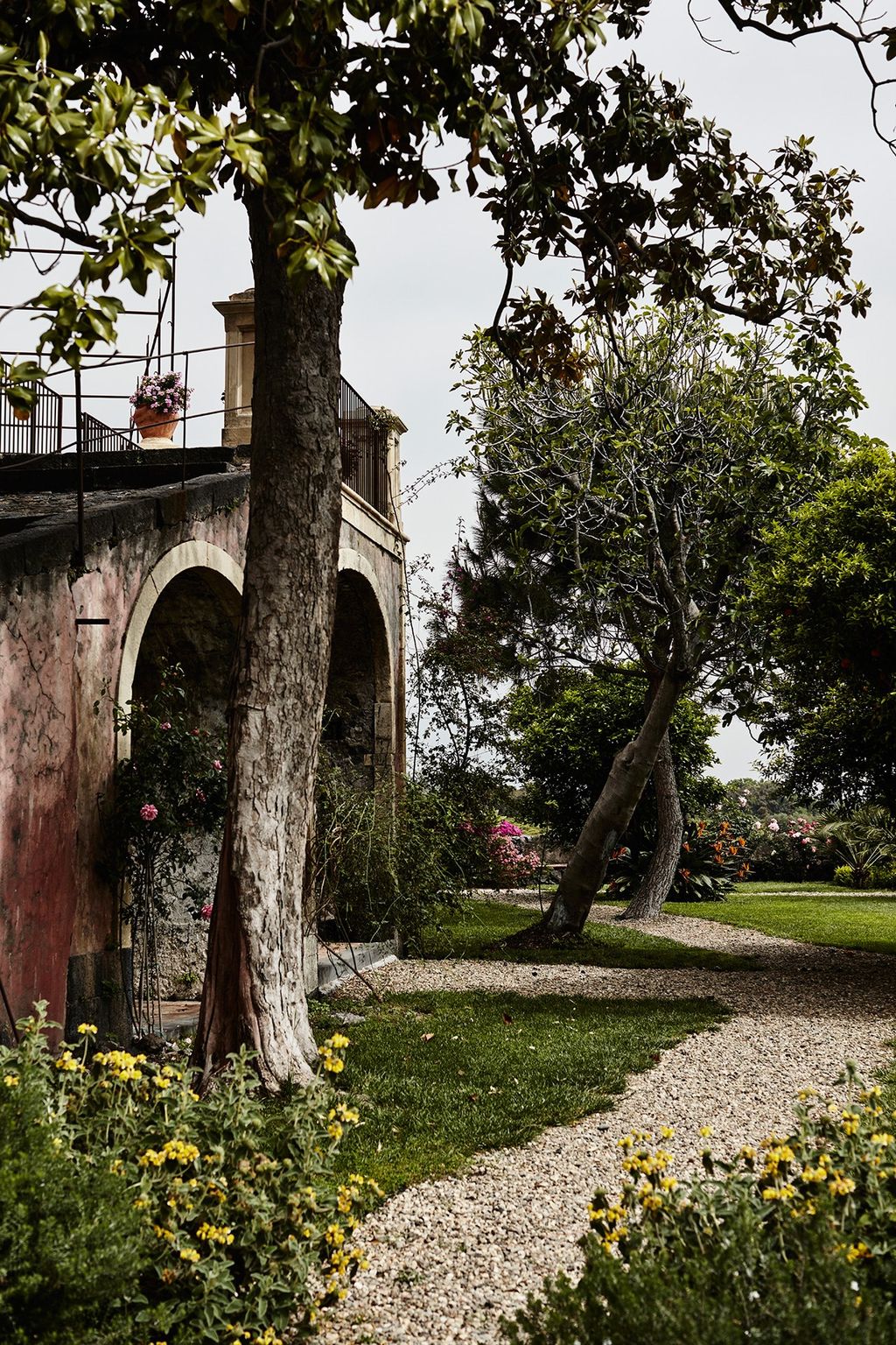Image may contain Tree Plant Building and Tree Trunk