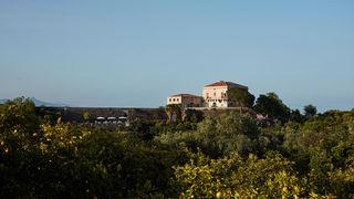 Image may contain Nature Outdoors Vegetation Plant Scenery Architecture Building Landscape Land and Tree