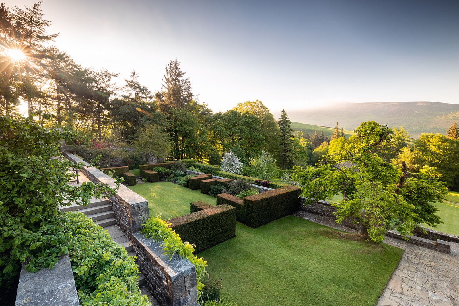 Image may contain Plant Outdoors Hedge Fence Fir Tree Abies and Garden
