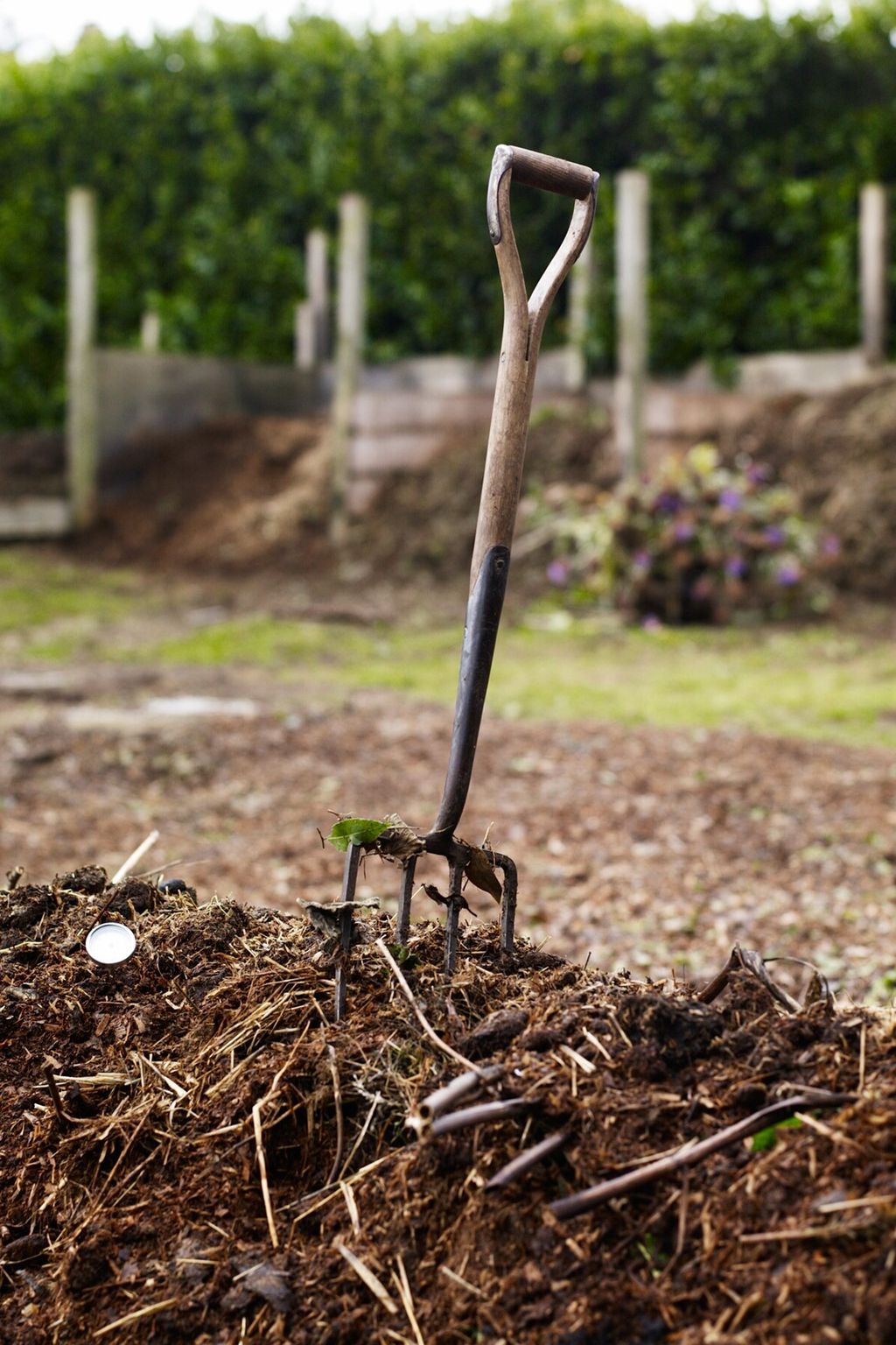 Image may contain Ground Soil Tool and Hoe