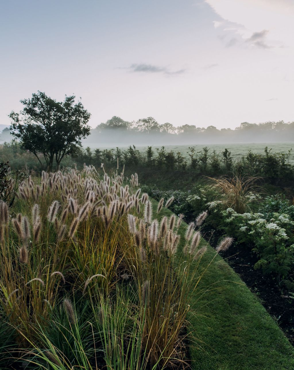Image may contain Grass Plant Vegetation Lawn Tree Outdoors Fir Abies Nature Bush and Land