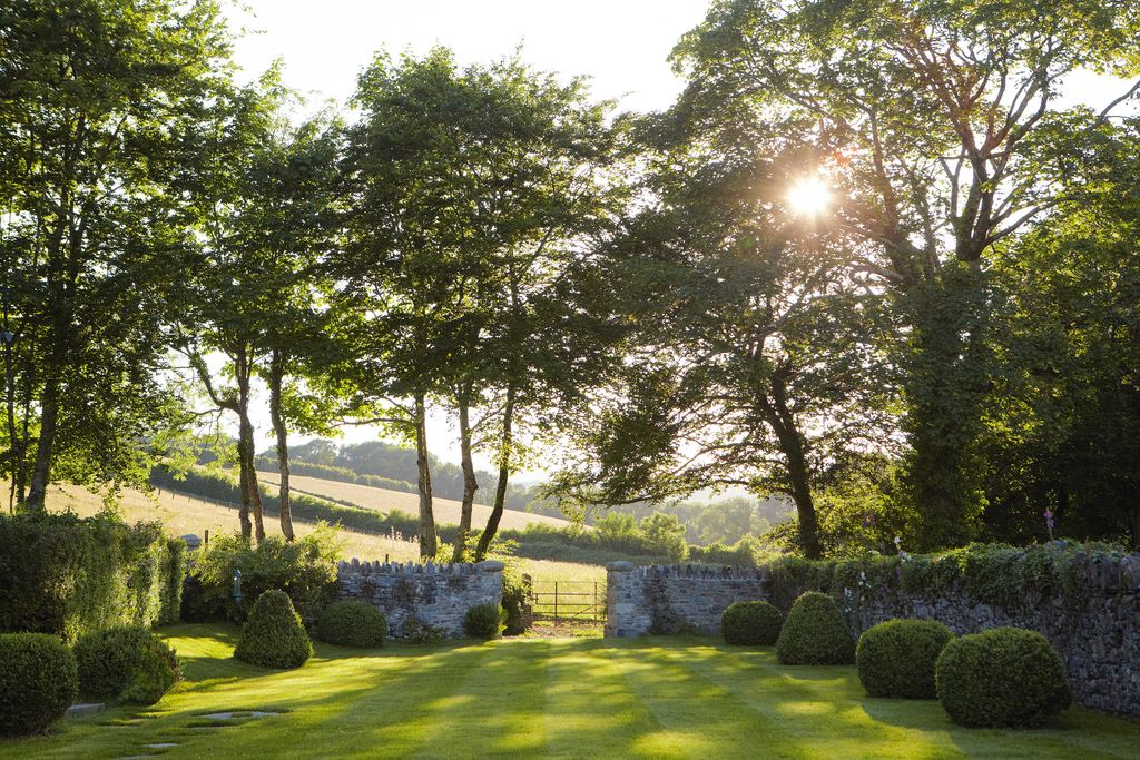 Image may contain Plant Grass Lawn and Tree