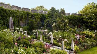 Trematon Castle Garden  Isabel and Julian Bannerman Bannerman's