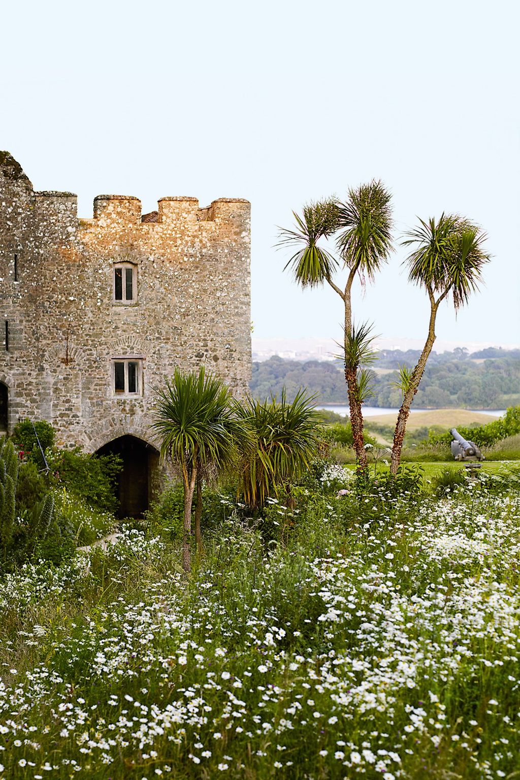 Trematon Castle Wildflowers  Flower Garden Ideas and Designs | Outdoor Spaces