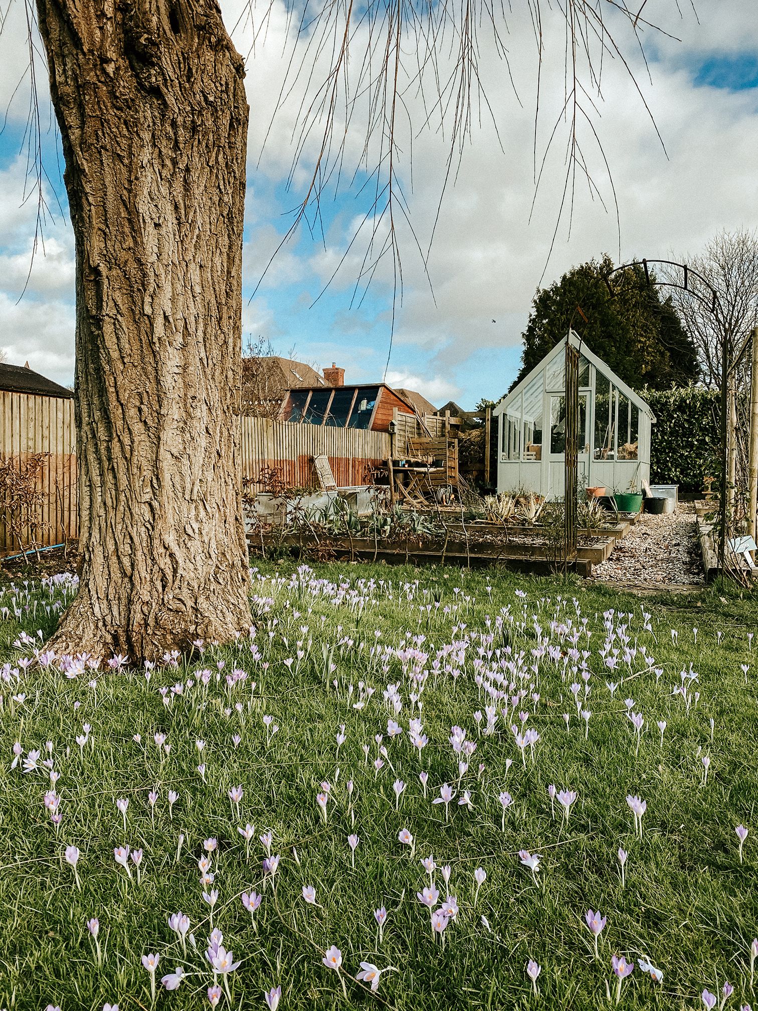 Image may contain Nature Outdoors Building Shelter Countryside Rural Housing Plant and House