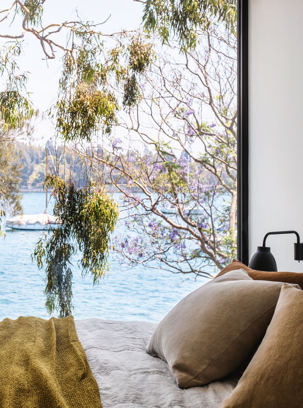 Image may contain Plant Tree and Cushion