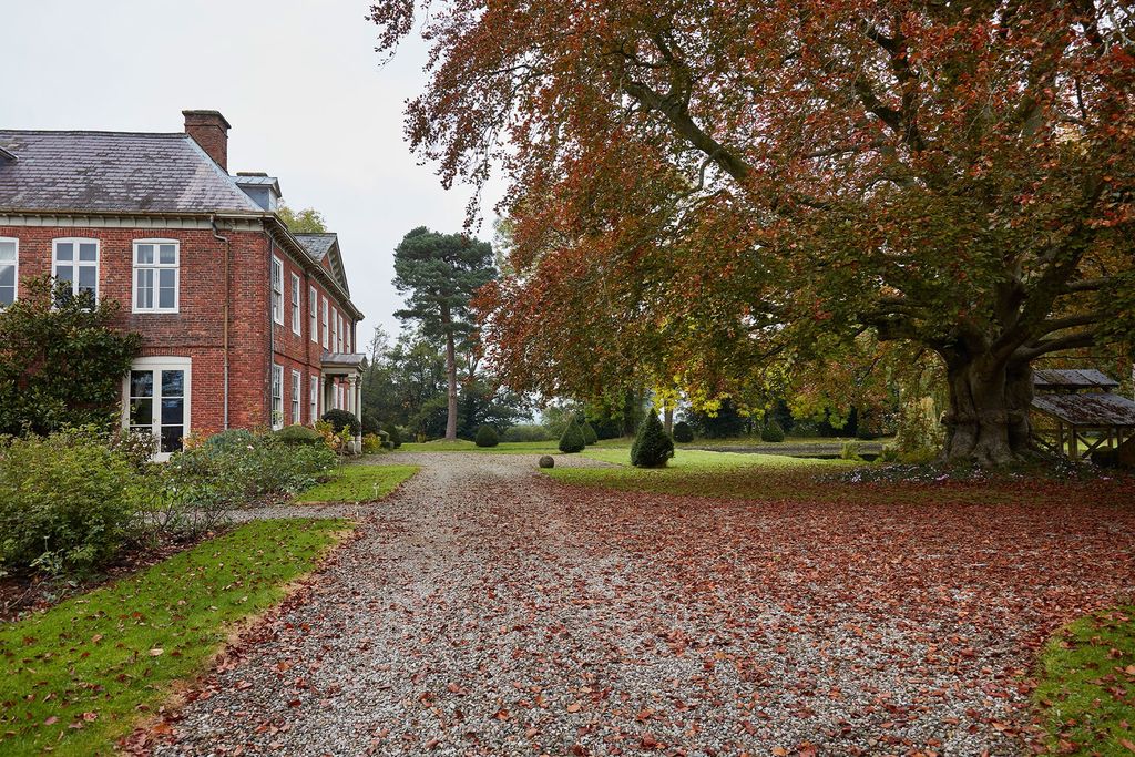 Image may contain Ground Plant Tree Tree Trunk Asphalt and Tarmac