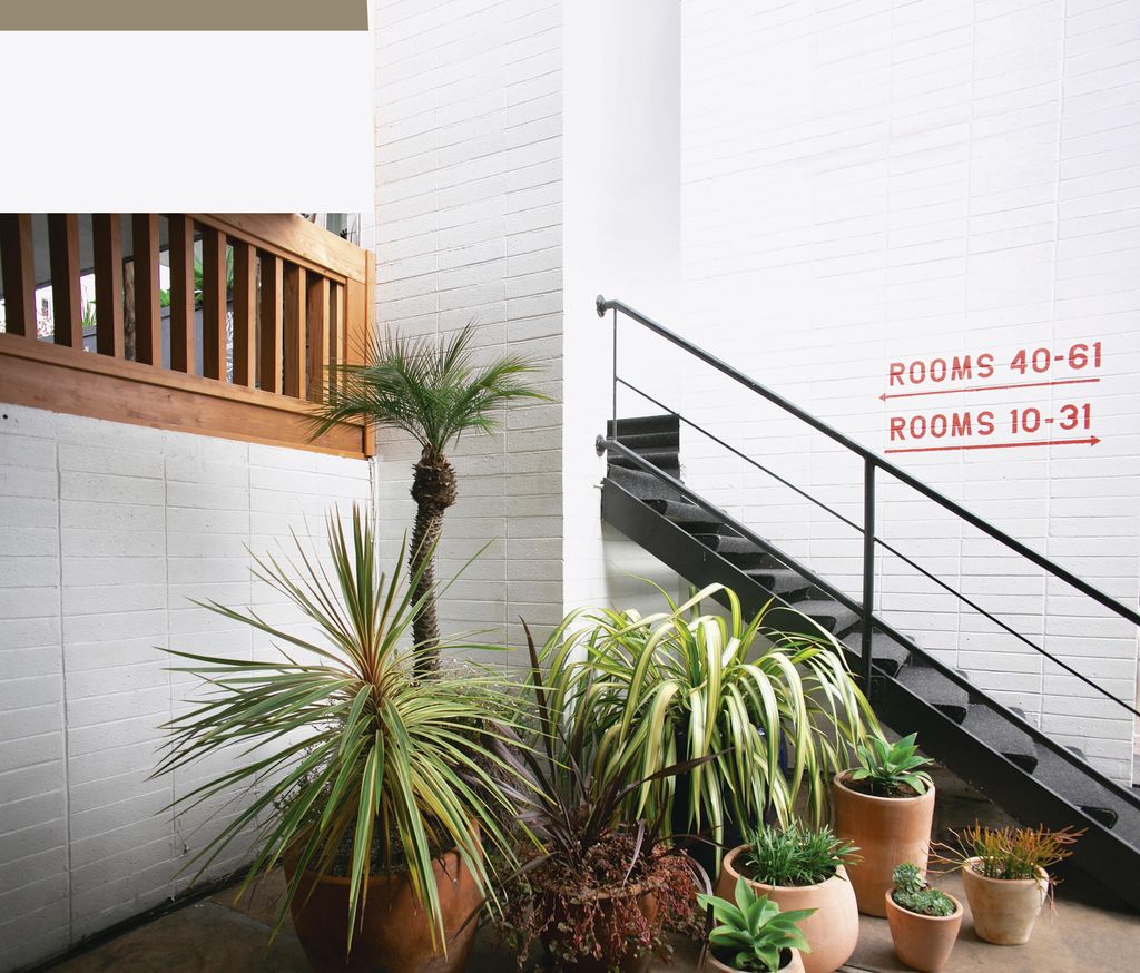 Image may contain Plant Banister Handrail and Railing