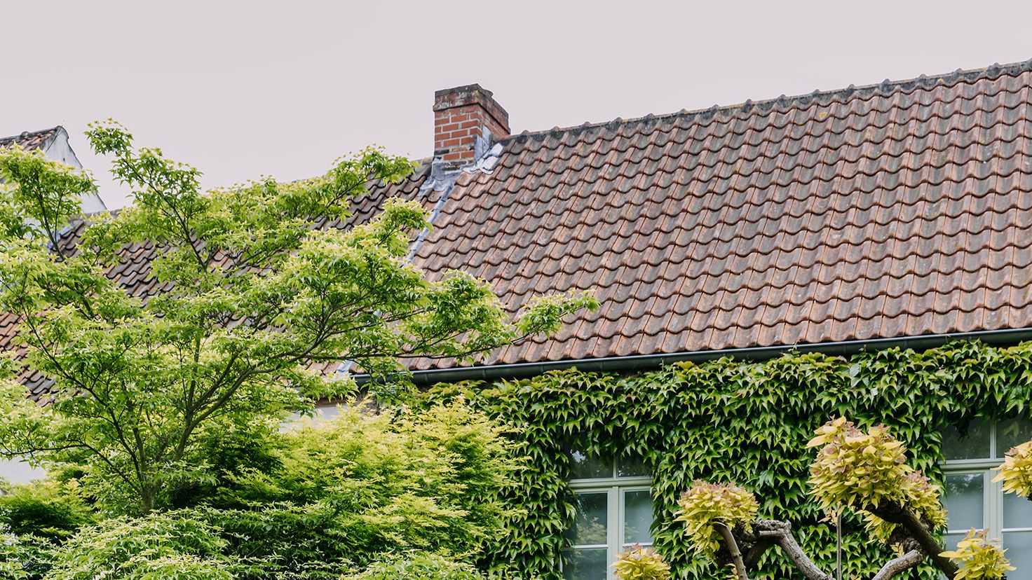 Image may contain: Outdoors, Garden, Arbour, Plant, Flagstone, Tree, Conifer, and Roof