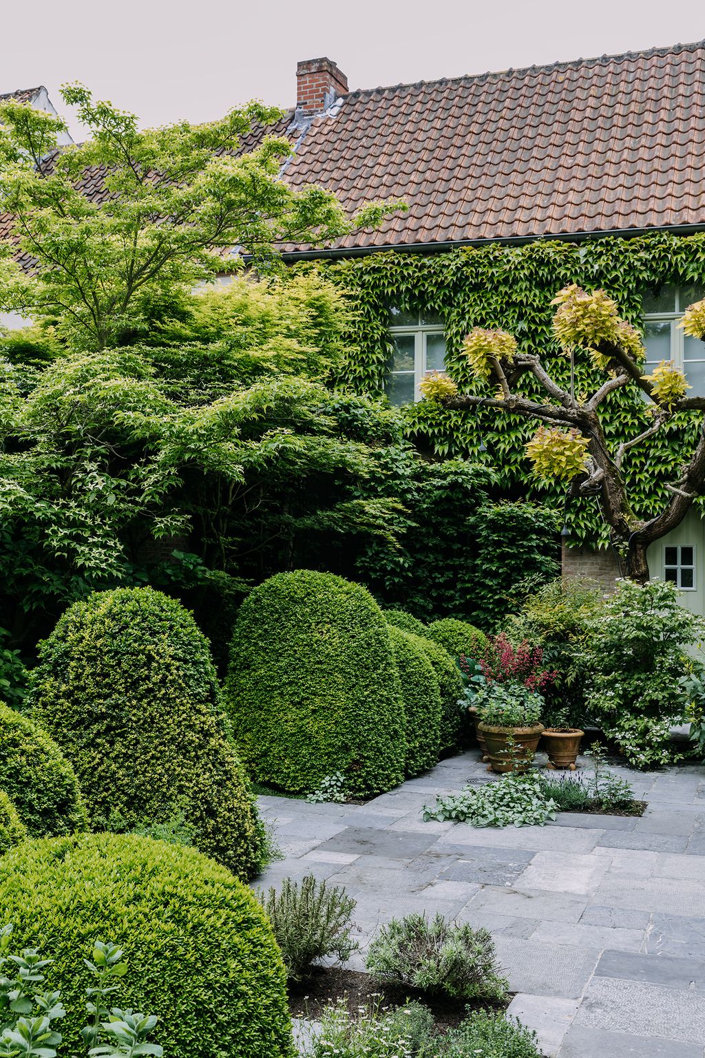 Image may contain Outdoors Garden Arbour Plant Flagstone Tree Conifer and Roof