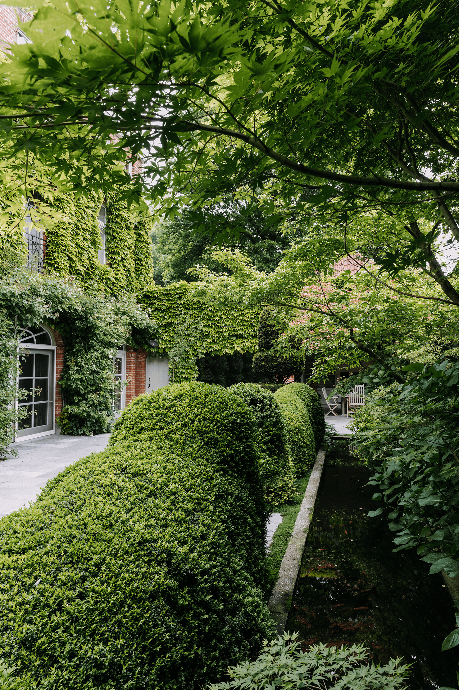 A serpentine hedge of cloudpruned box edges a narrow canal in this city garden