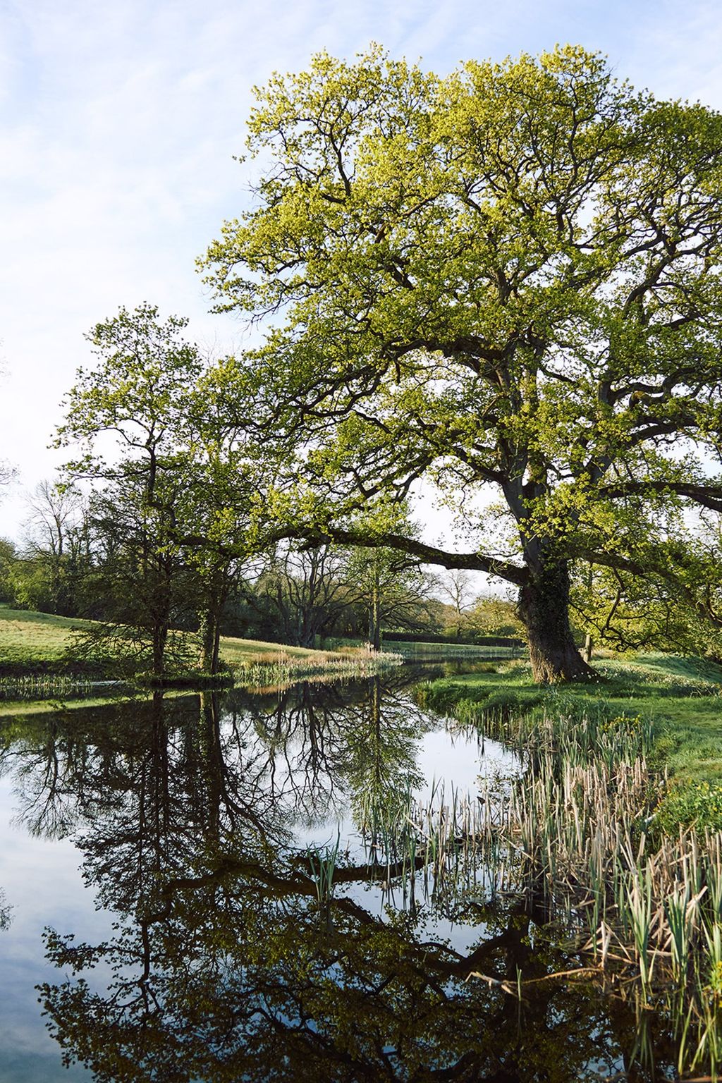 River  Restored Georgian House in Somerset | Real Homes