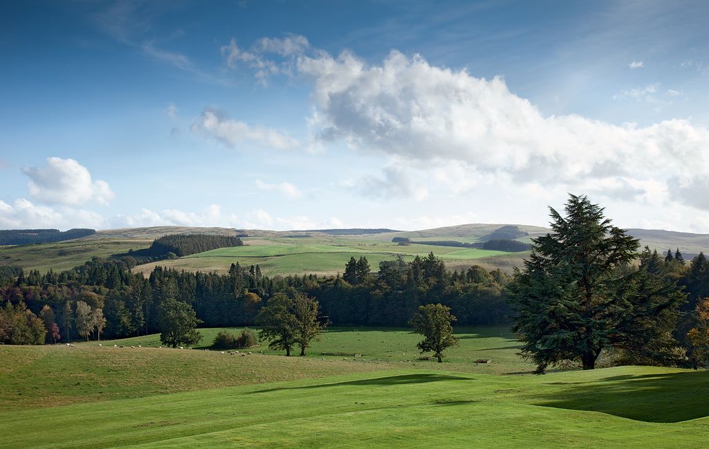 Image may contain Field Outdoors Plant Grass Nature Grassland Tree and Golf Course