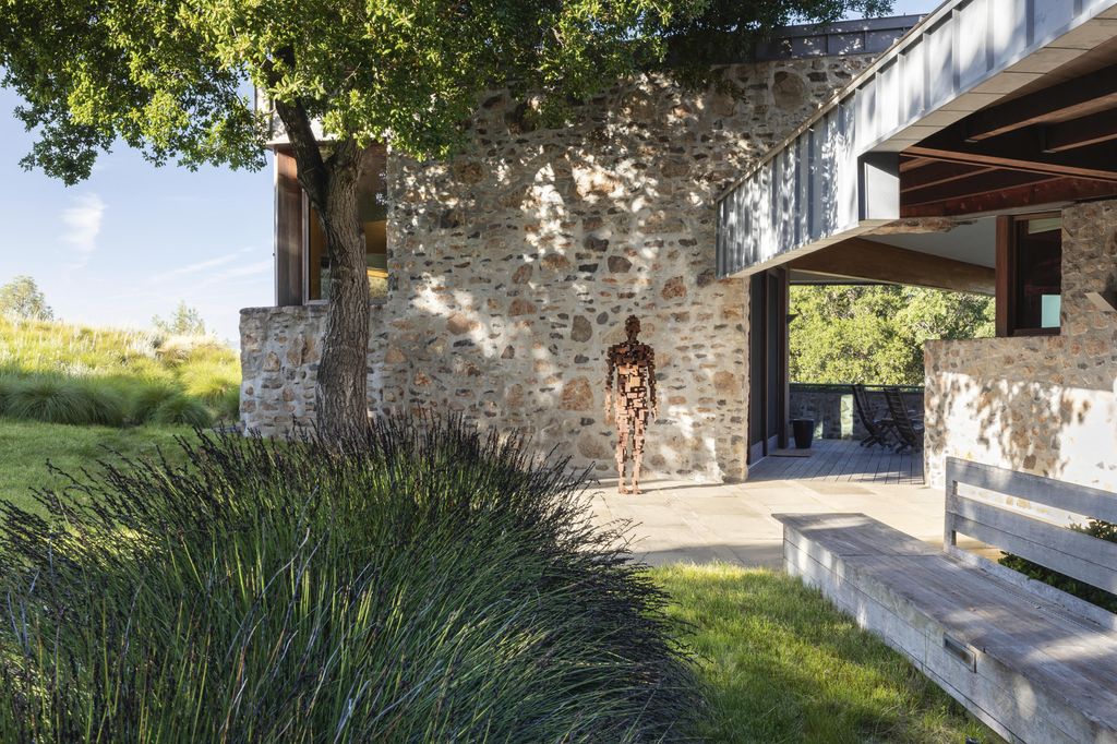 Image may contain Plant Grass Flagstone Tree Path and Walkway